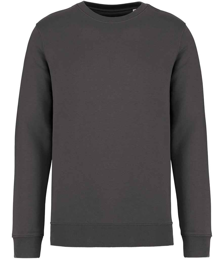 Native Spirit Unisex Heavyweight Crew Neck Sweatshirt in Iron Grey, front view