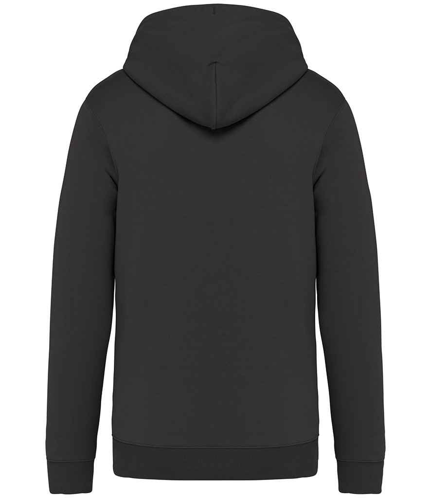 Native Spirit Unisex Full Zip Hoodie in Iron Grey, back view