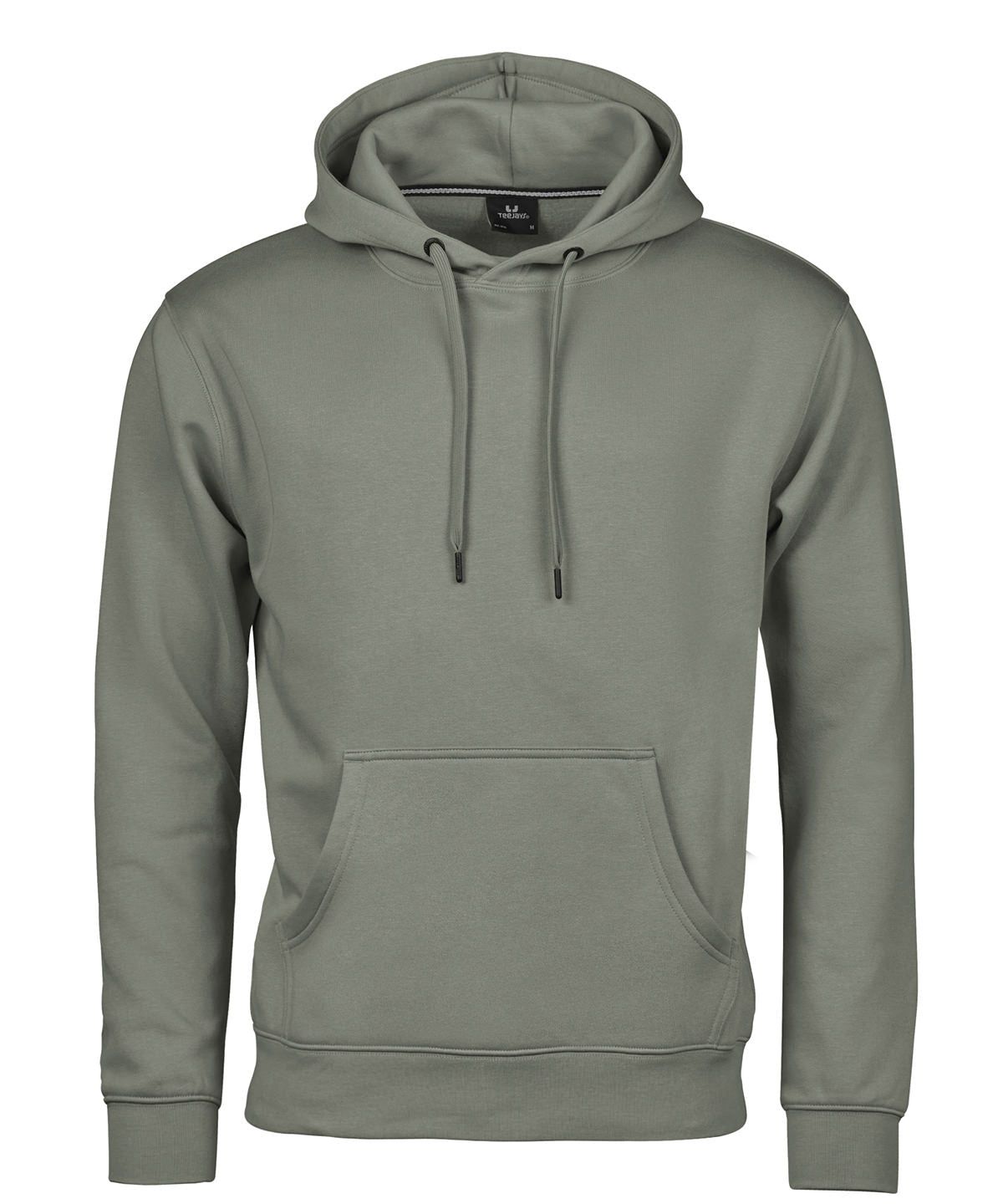 Tee Jays Hooded sweatshirt in Sage, front view