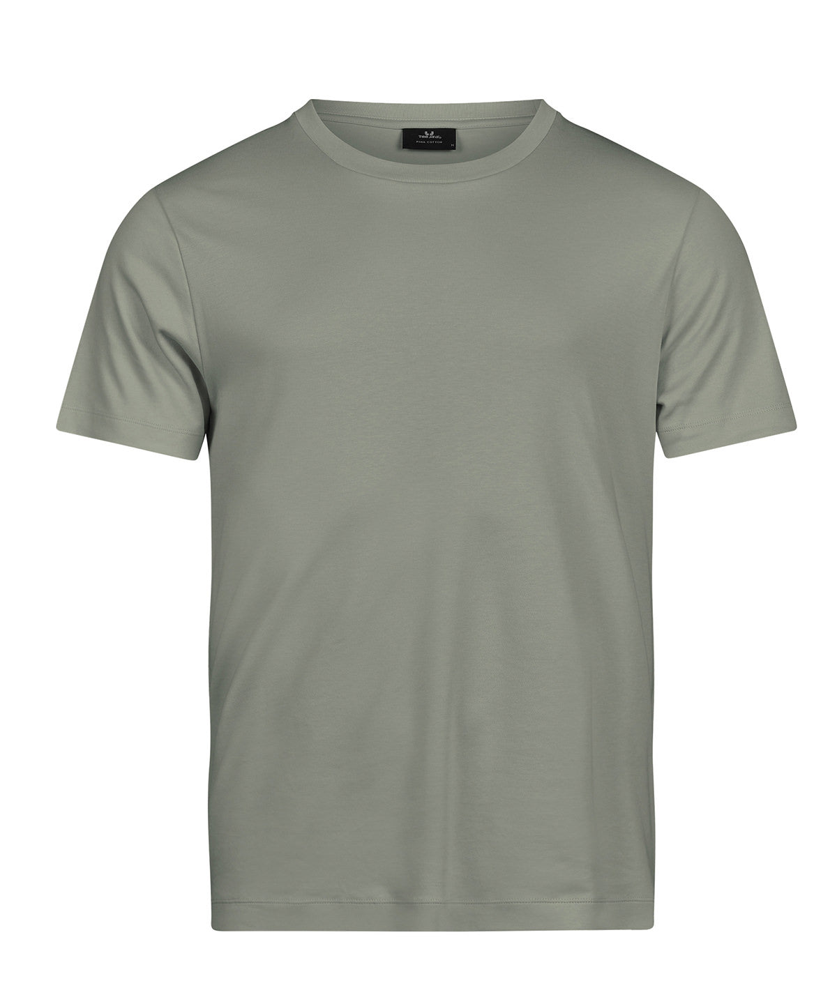 Tee Jays Pima cotton tee in Sage, front view