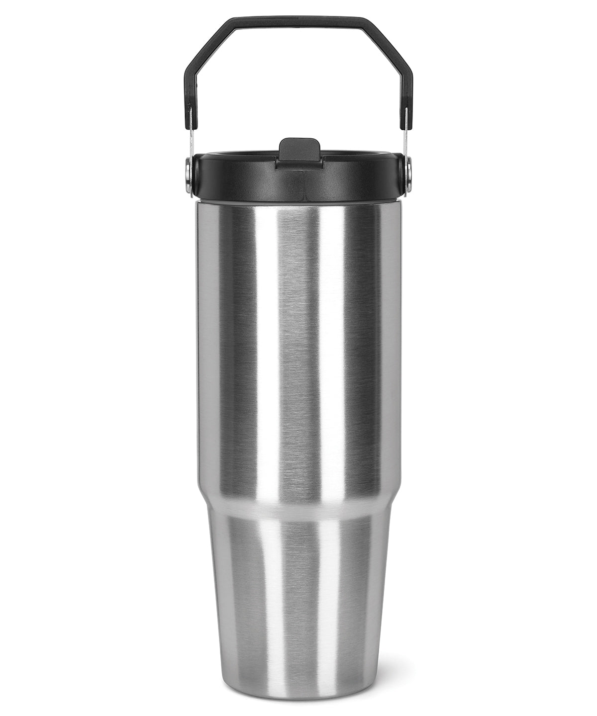 TriDri Water bottle with carry handle in Brushed Steel, front view