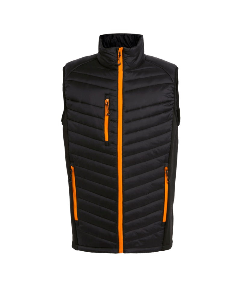 Regatta Professional - Navigate Hybrid Bodywarmer - Black/OrangePop