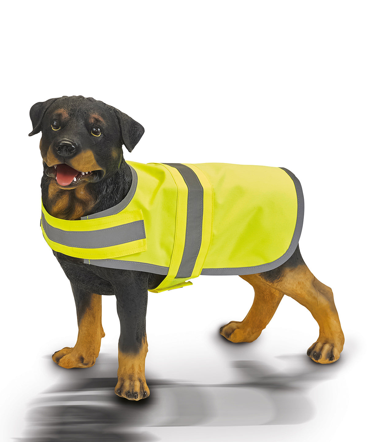 Yoko Hi-vis dog vest, lifestyle photo