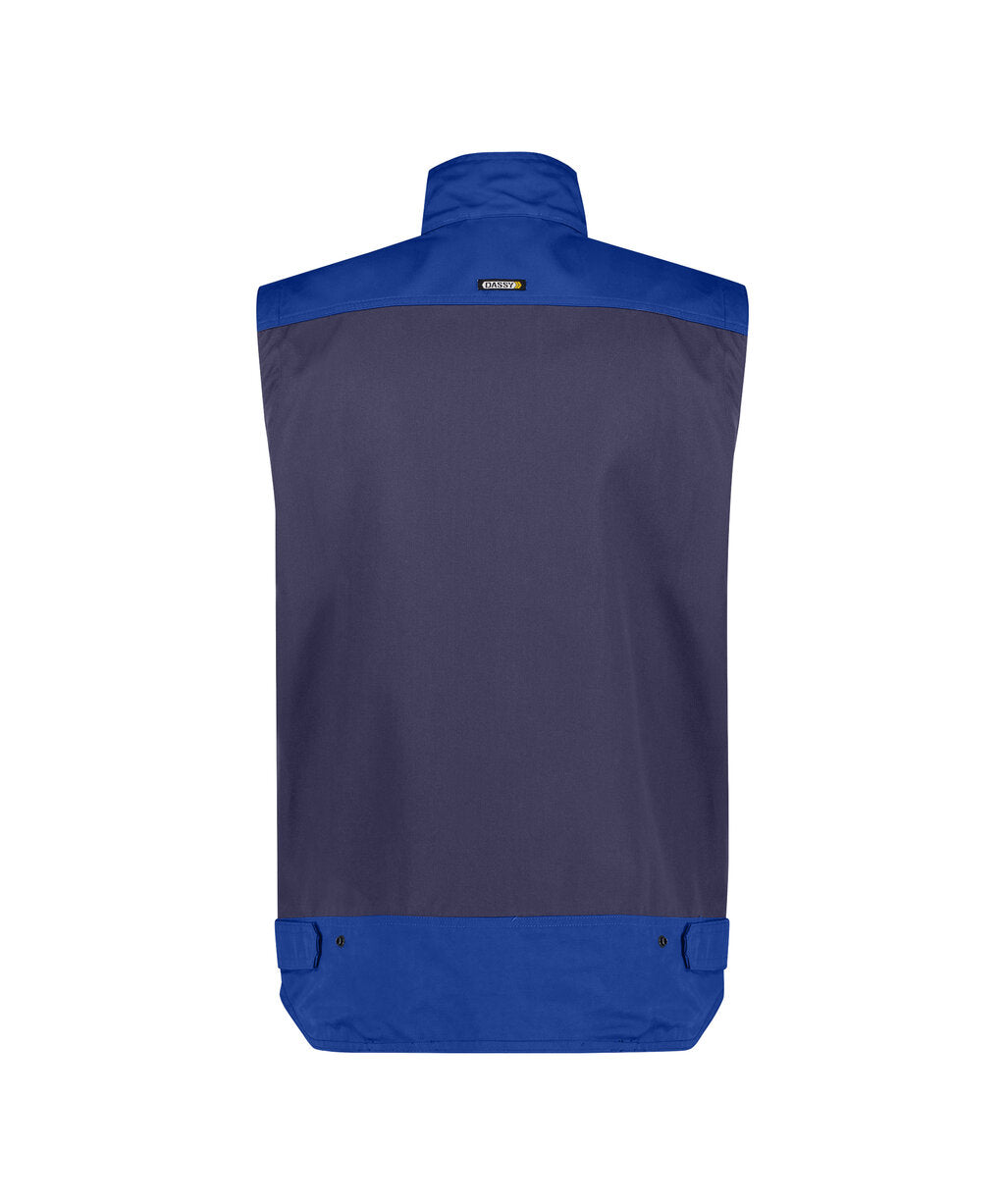 Navy/Royal Blue back