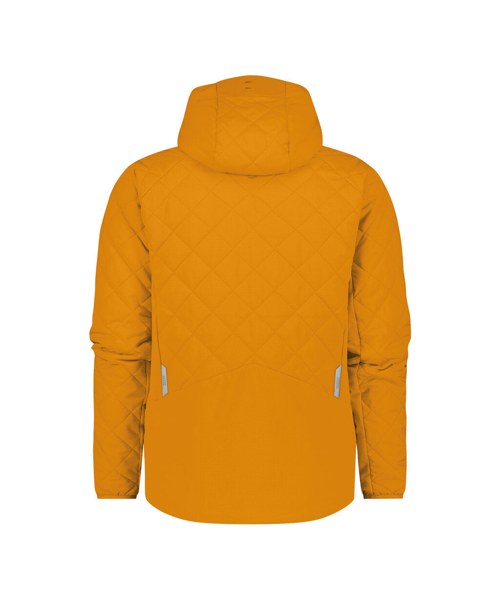 Sunflower Yellow back