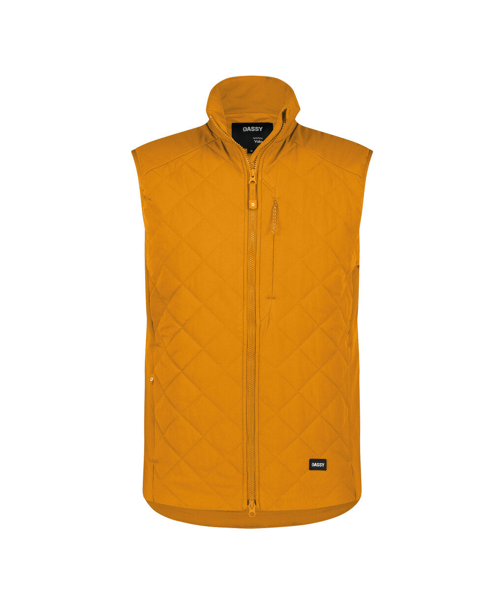 Sunflower Yellow front